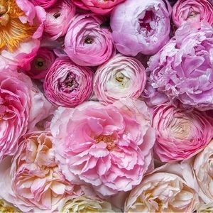 Meet your Posher, Reese